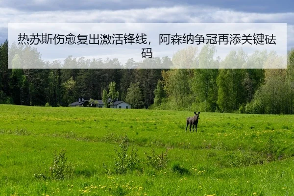 re-su-si-shang-yu-fu-chu-ji-huo-feng-xian-a-sen-na-zheng-guan-zai-tian-guan-jian-fa-ma-3-209.jpg