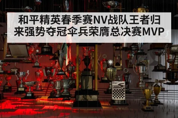 和平精英春季赛NV战队王者归来强势夺冠伞兵荣膺总决赛MVP